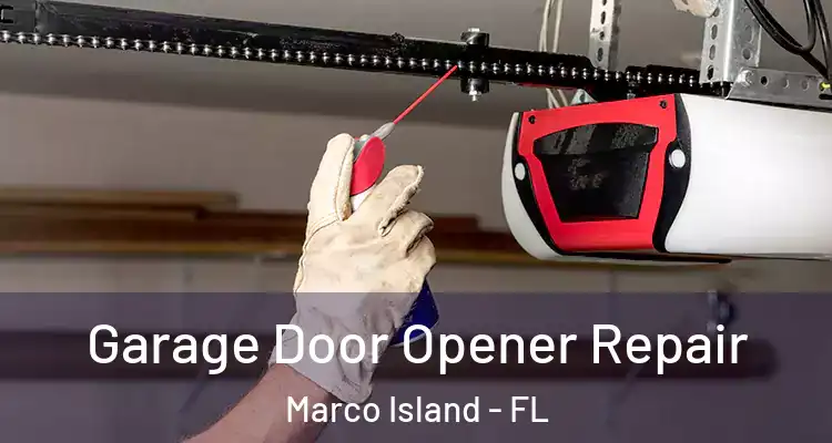  Garage Door Opener Repair Marco Island - FL
